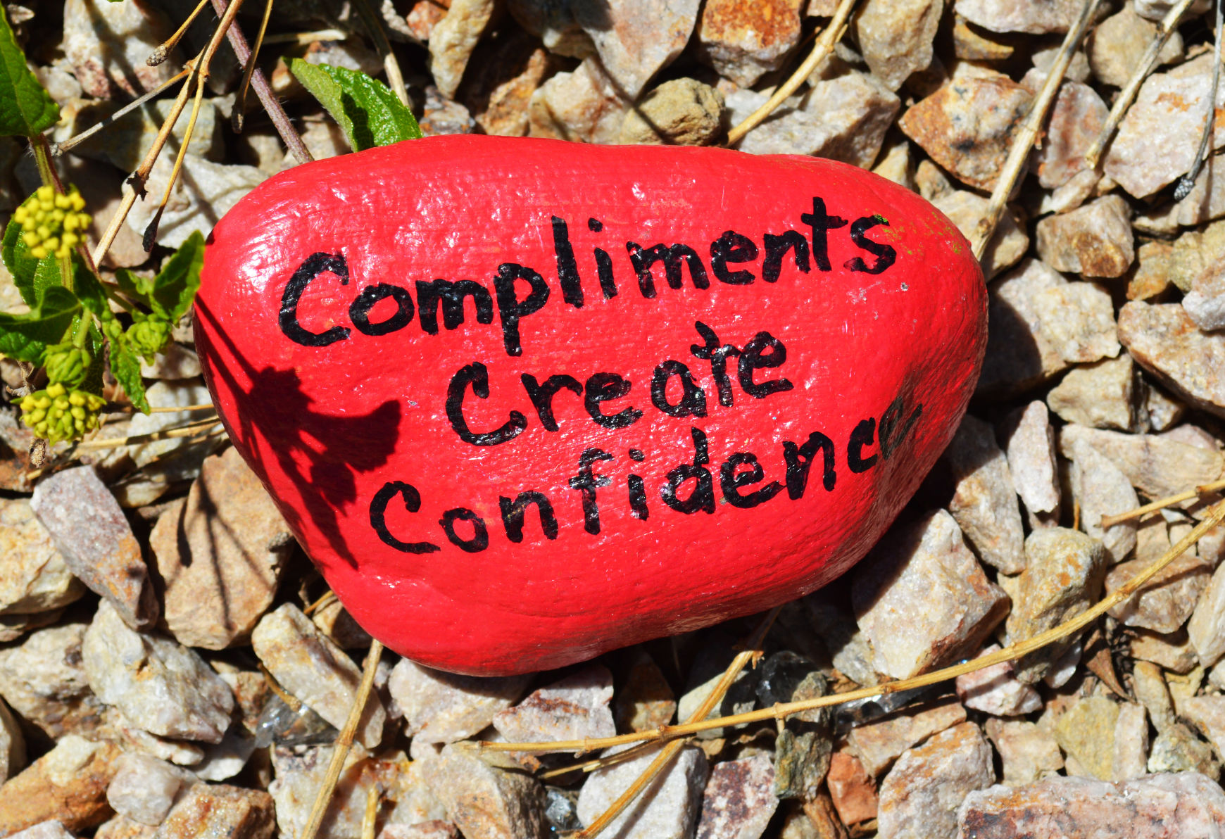 Kindness rocks